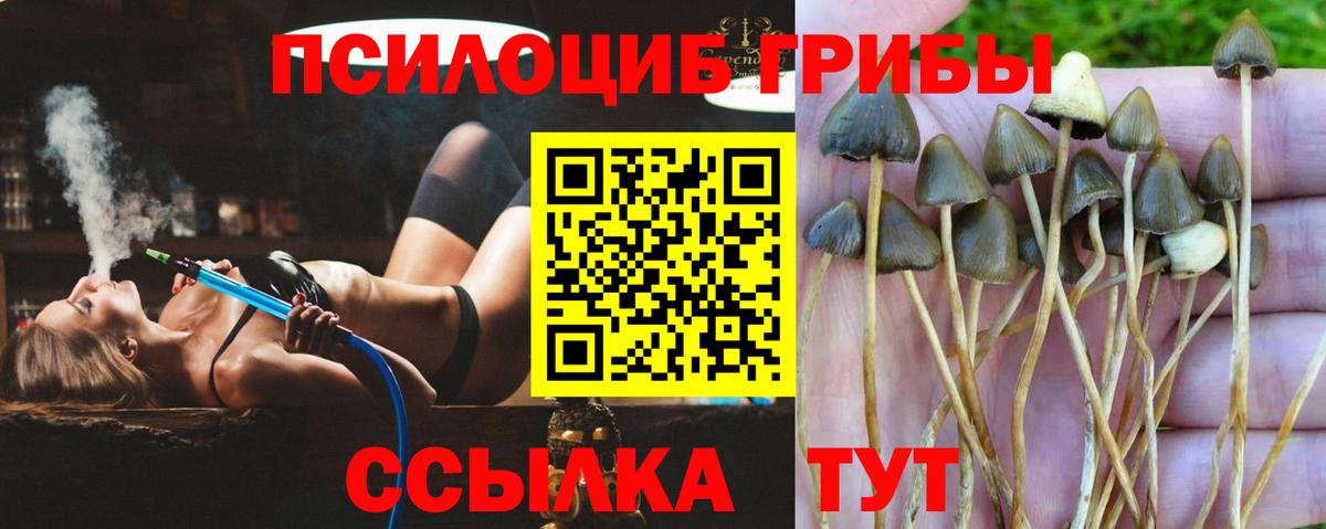 Галлюциногенные грибы прущие грибы  Вход с VPN  Богородск 