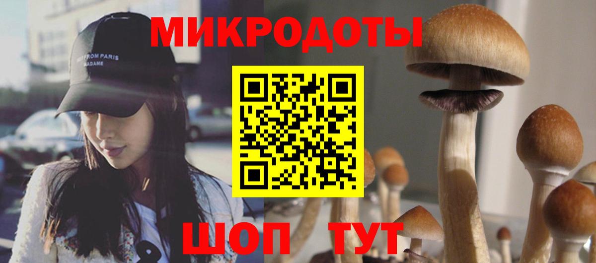 Псилоцибиновые грибы Psilocybine cubensis Богородск